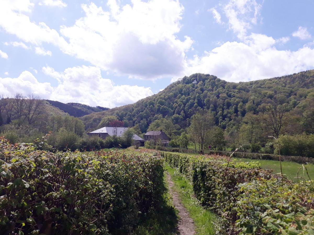 Bed & Breakfast Vallee De L'Ourthe Marcourt Ngoại thất bức ảnh